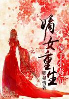 请叫我总监全集免费