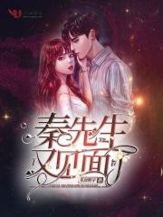 秦先生2017年21集