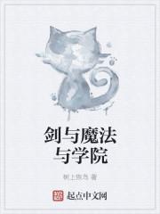 剑与魔法什么意思