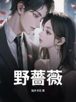 野蔷薇村的故事绘本