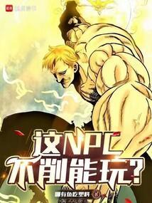 这npc不削能玩?txt
