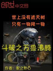 穿越成剑斗罗之子